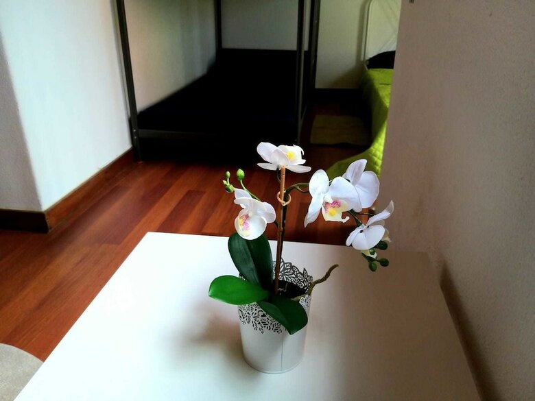 Hostal Theorynomad Al Lisboa - Hostel