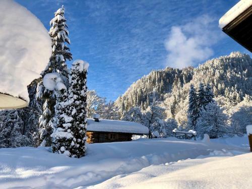 Apartamento Ferienapartmenthaus Brunnenhof