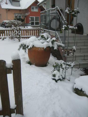 Hostal G�stehaus Arndt