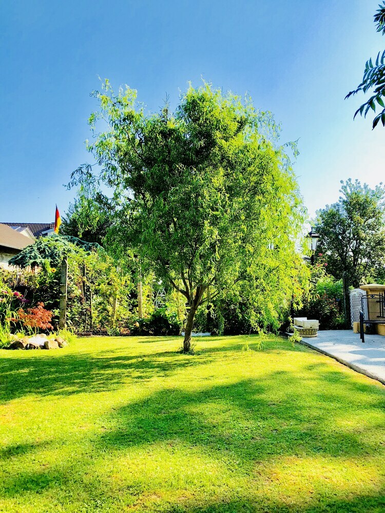 Hostal Europa Pension Zum Gr�nen Baum