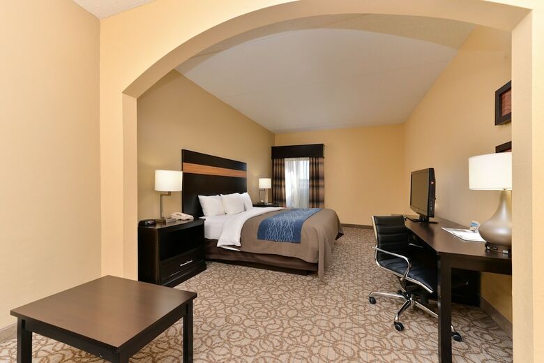 Hotel Comfort Inn & Suites At Stone Mountain