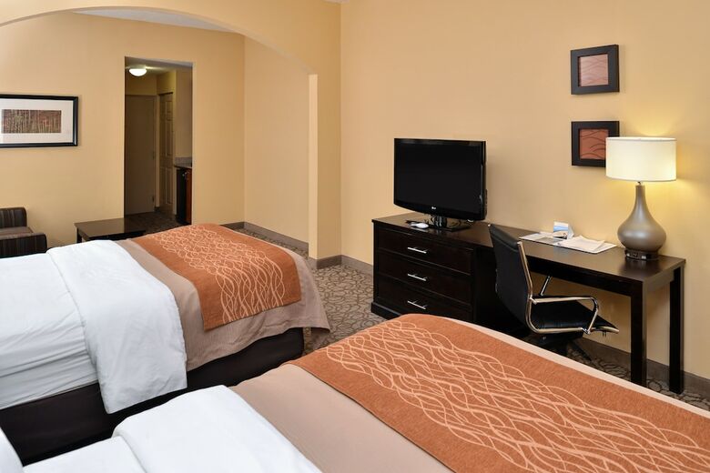 Hotel Comfort Inn & Suites At Stone Mountain