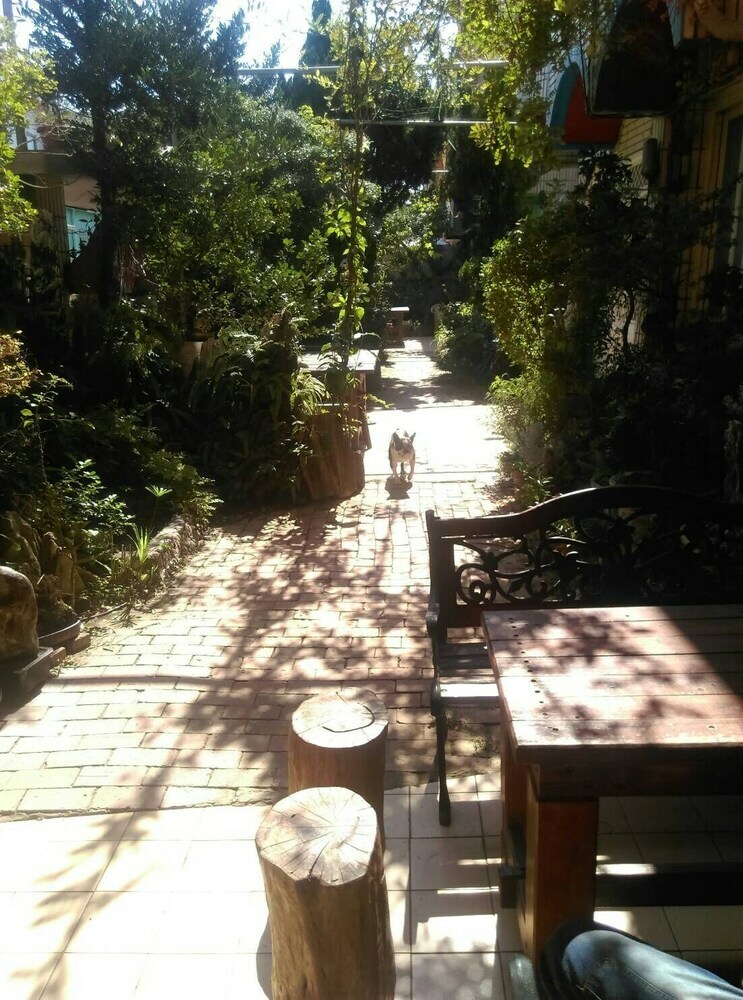 Bed & Breakfast Sea Villa Homestay
