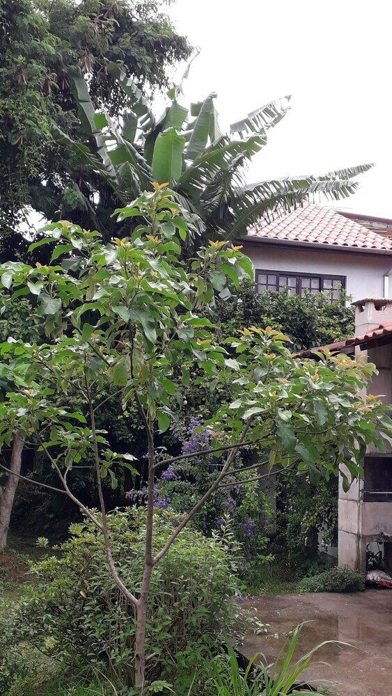 Apartamentos de F�rias Martim de S�