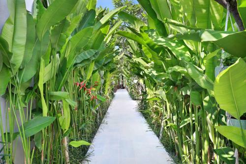 Bed & Breakfast Astera Villa Seminyak