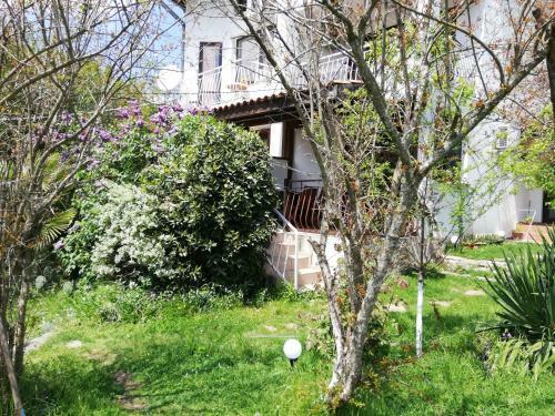 Hostal Guest House Fanny