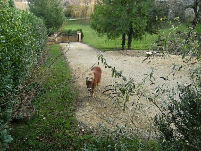 Larnaudie - Le Gite