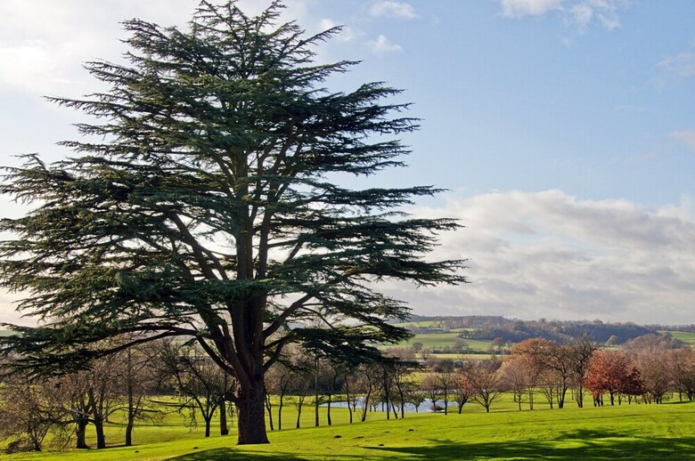 Hotel Hilton Puckrup Hall Tewkesbury