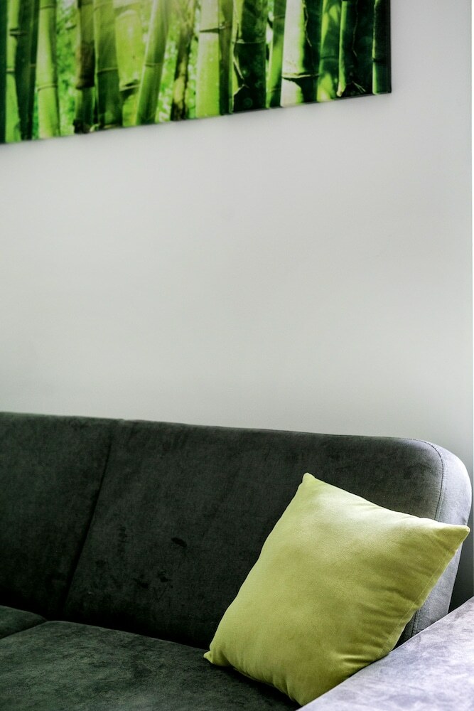 Zirnyi 9 Apartment