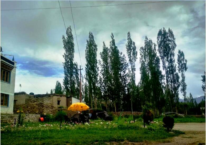 Hotel Tih Khushu Guest House