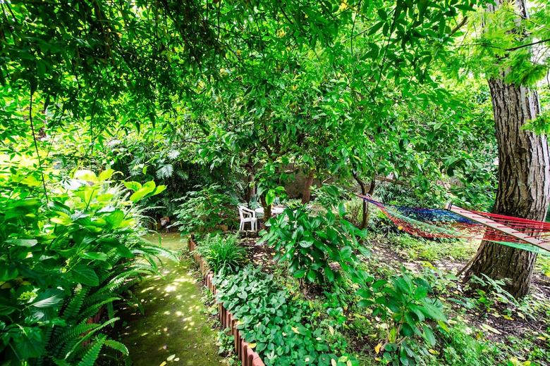 Apartamento Il Giardino Di Aranci E Limoni