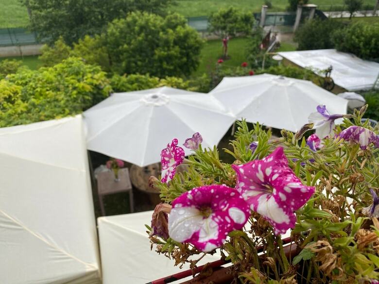Bed & Breakfast Oca Carolina