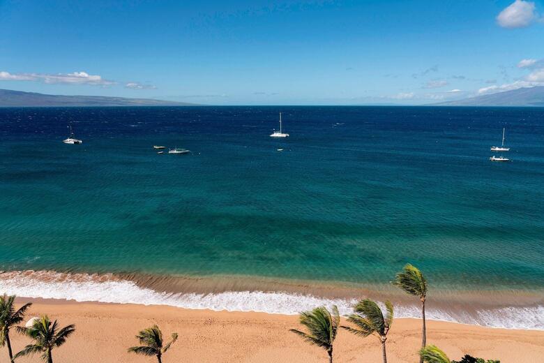 Hotel Westin Maui Kaanapali (Duplicate 13320)