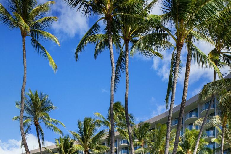 Hotel Westin Maui Kaanapali (Duplicate 13320)
