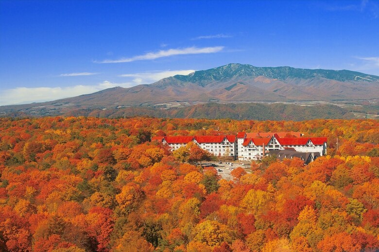 Hotel Green Plaza Karuizawa