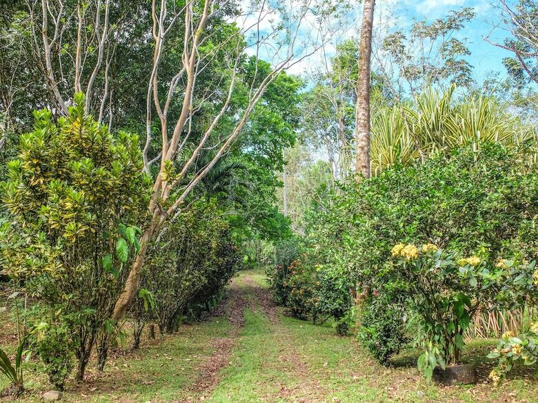 Posada Villa Celeste Katira
