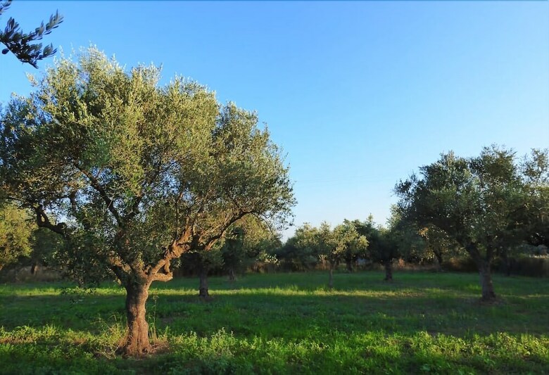 Villa Experience And Relaxing Near To Ancient Messene