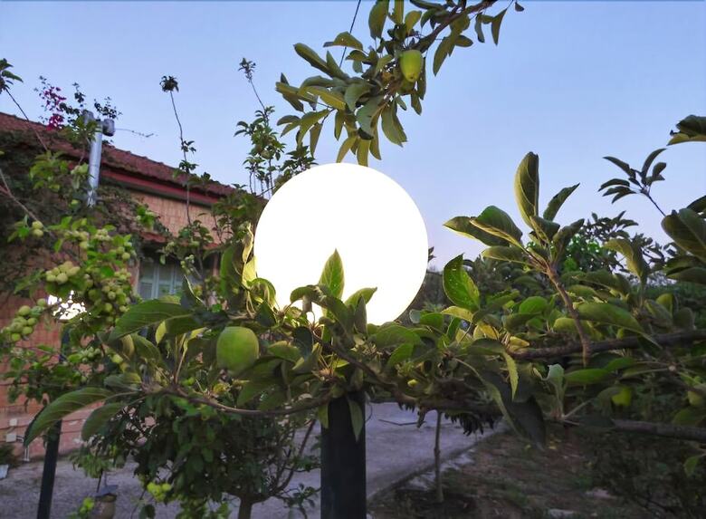 Villa Experience And Relaxing Near To Ancient Messene