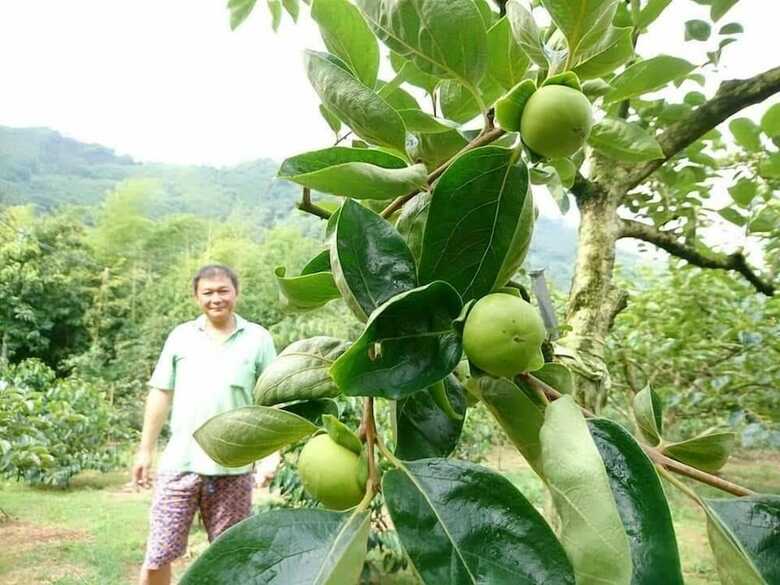 Bed & Breakfast A-li A-li Homestay