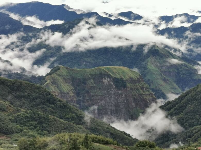 Bed & Breakfast A-li A-li Homestay