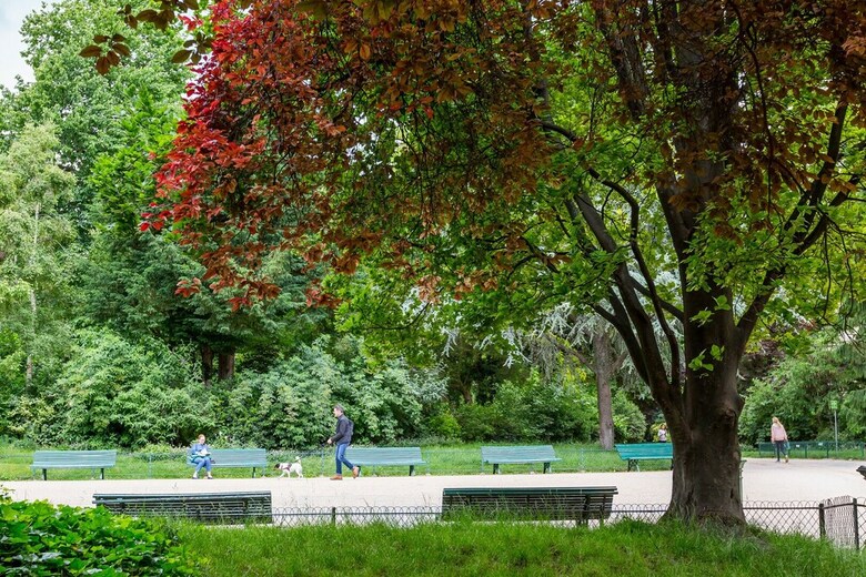 The Botanical Island