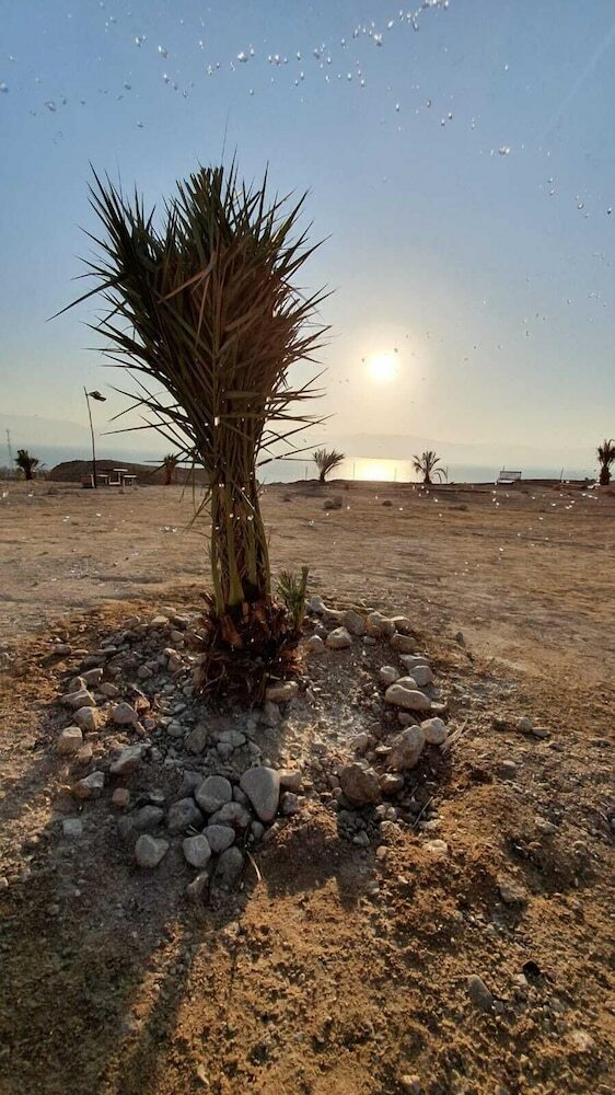 Dead Sea Camping