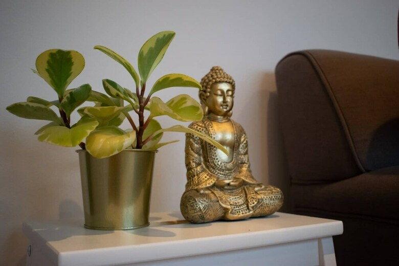 Apartamento Charming And Cosy Studio Flat Near Greenwich