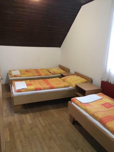 Youth Hostel Nika