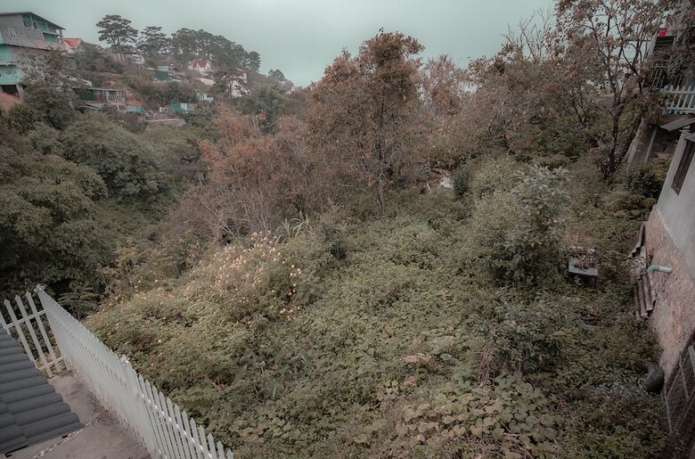 Bed & Breakfast Gerbera Hotel Da Lat
