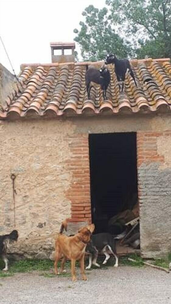 Hotel Domaine de Nidol�res