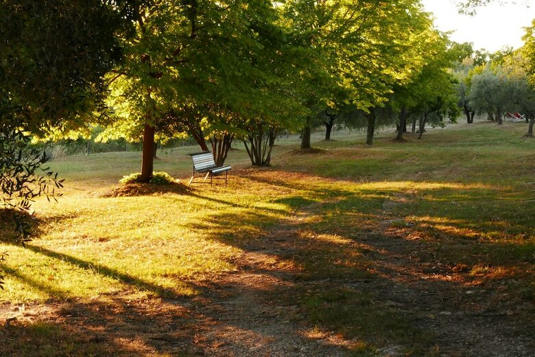 Agroturismo Agriturismo La Pieve