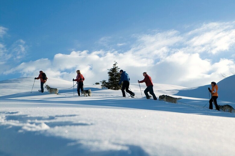 Apartamentos Lux-alp Chalet