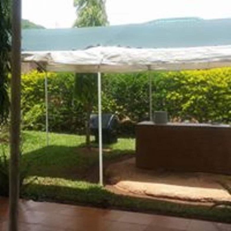 Hotel The Olive Lodge