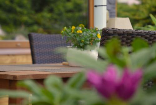 Hostal Penzion Pri Kastieli Betliar