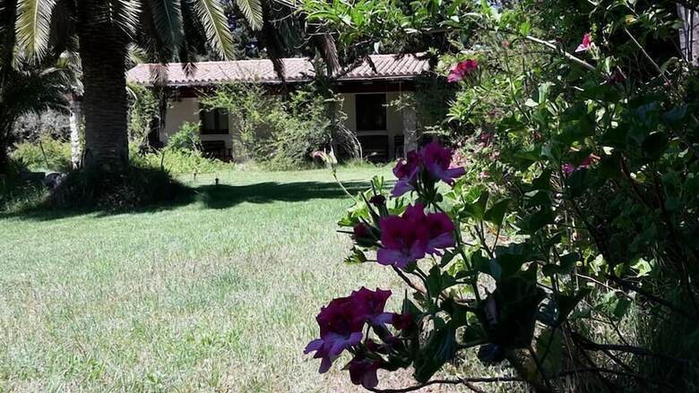 Agroturismo Agriturismo S'anea