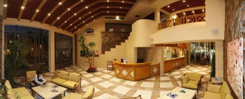 Camel Dive Club & Hotel (Boutique Hotel)