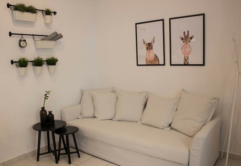 Super Stylish Apartments In Syntagma Square