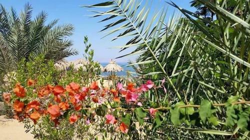 Albergue Nakhil Inn And Dream