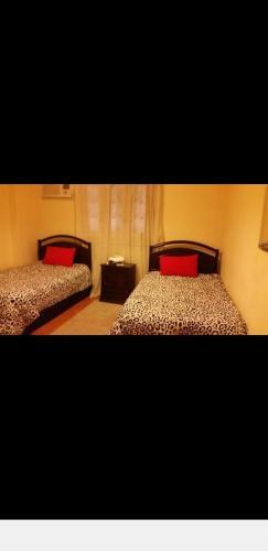 Apartamento Sakan 252