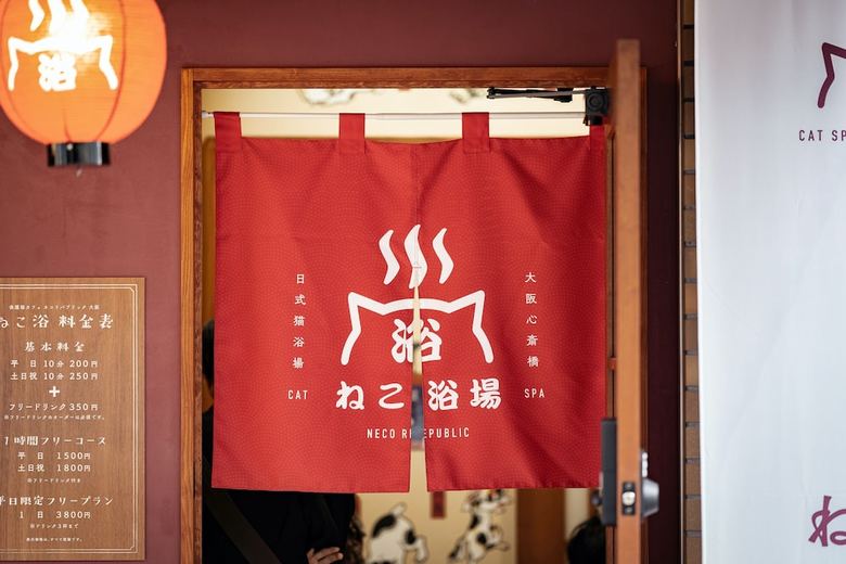 Hostal Neco Yokujo & Neco Hatago Neco Requblic - Hostel