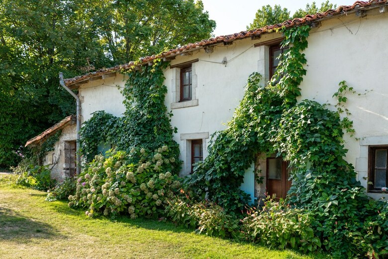 Chez Maurit