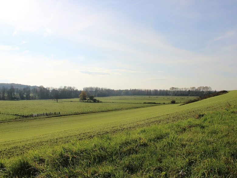 Authentic, Renovated Country House With Private Heated Pool