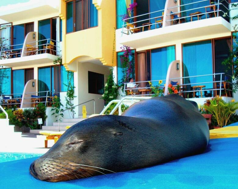 Hotel Solymar