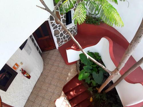 Hostal El Bamb� Galapagos Inn