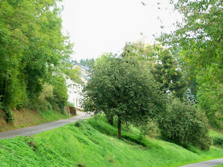 Peaceful Apartment In Pl�tscheid Eifel Near Forest