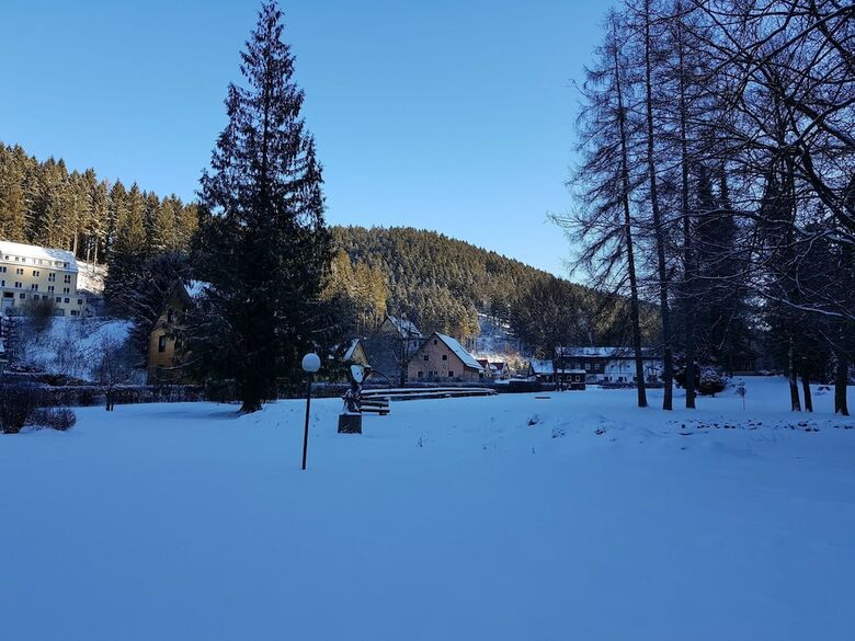 Quaint Apartment In Upper Harz In Wildemann With Views