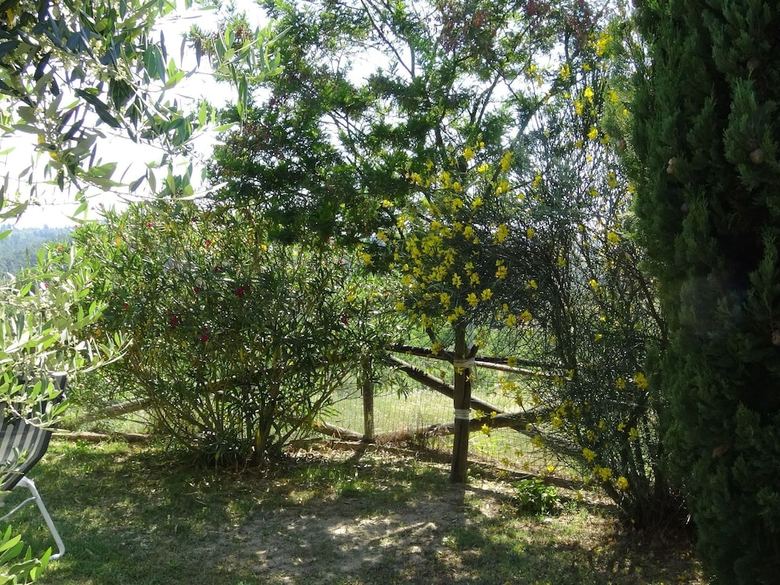 Well Kept Property With Garden With Lovely Panorama