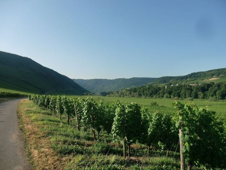 Comfortable Holiday Home Near Vineyards In Bremm