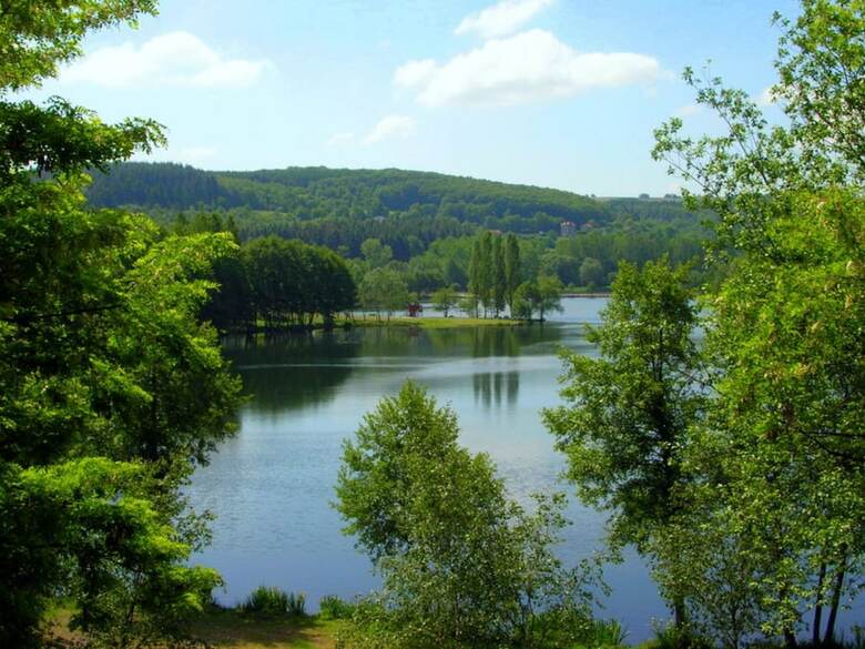 Spacious Holiday Home Near Lake In Le Quartier