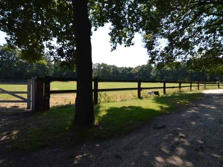 Spacious Holiday Home Near Forest In Peer
